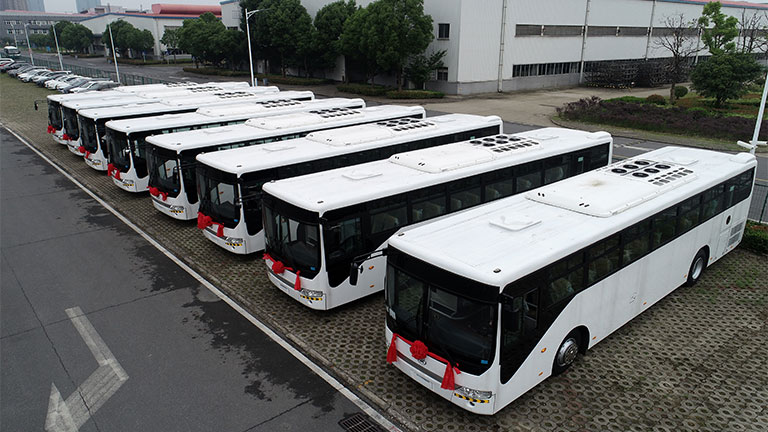 tourist buses