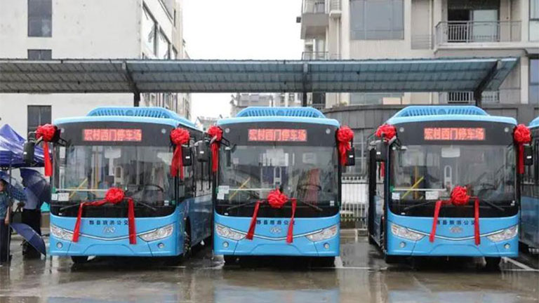 new energy buses