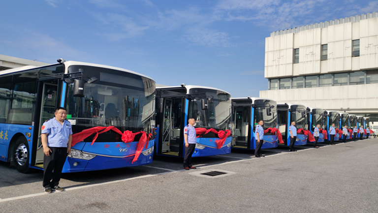 pure electric buses