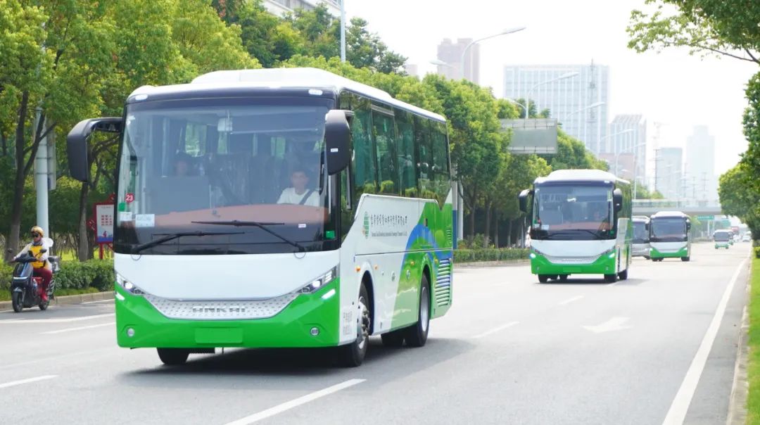 electric A5 buses