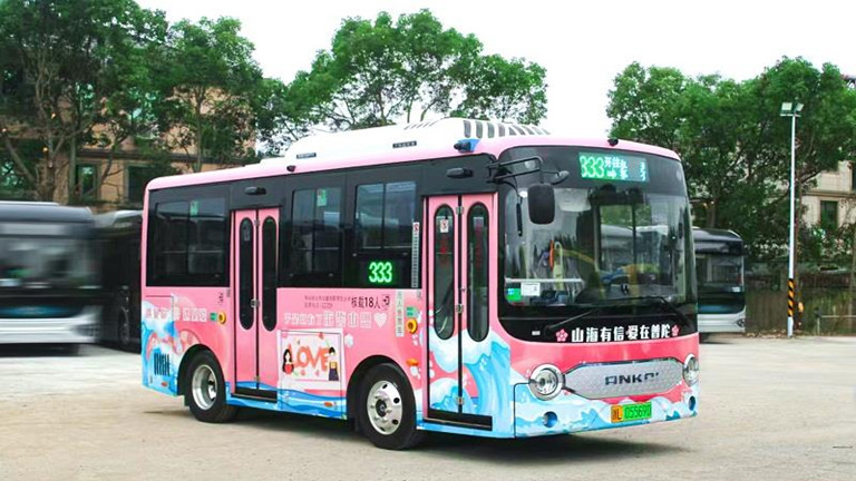 Ankai electric G6