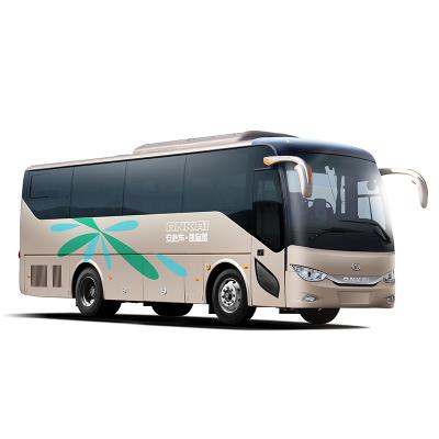 11m luxury coach